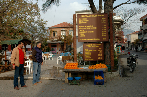 Zeytinli Beldesi Meydan