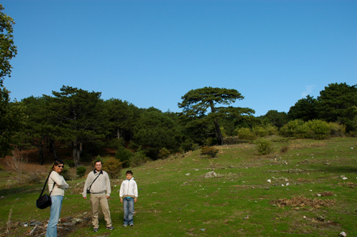 yayla